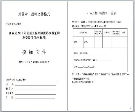 项目投标书翻译哪个公司业务水平更高